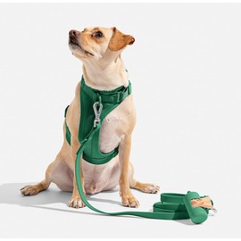 Wild One Harness 2.0 - Small - Spruce