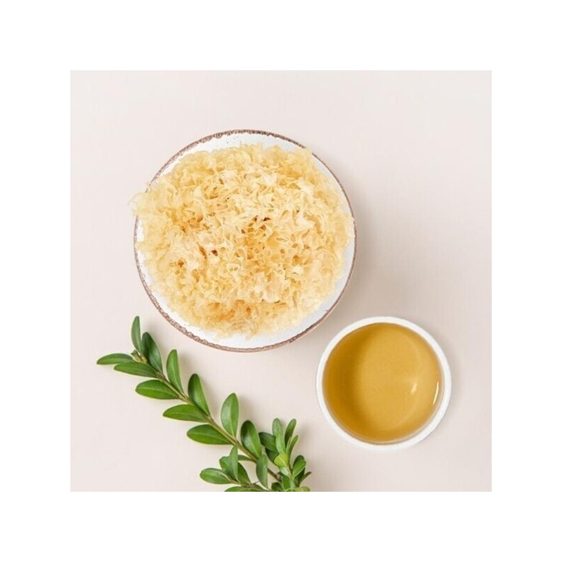 신선약초 흰목이버섯 300g Fresh Herbal White Tree Mushroom 300g