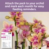 Chrysal Orchid Food Drops — Orchid Care — One Pack