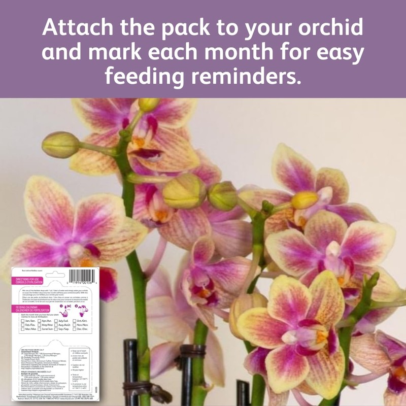 Chrysal Orchid Food Drops — Orchid Care — One Pack