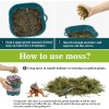 Sphagnum Moss for Reptiles -Terrarium Moss for Reptiles Peat Moss