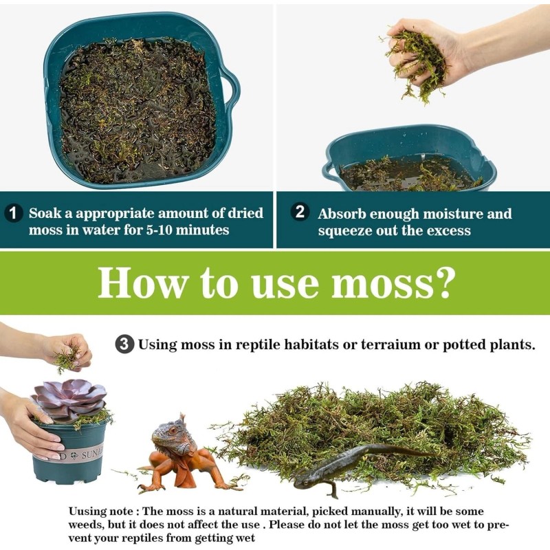 Sphagnum Moss for Reptiles -Terrarium Moss for Reptiles Peat Moss