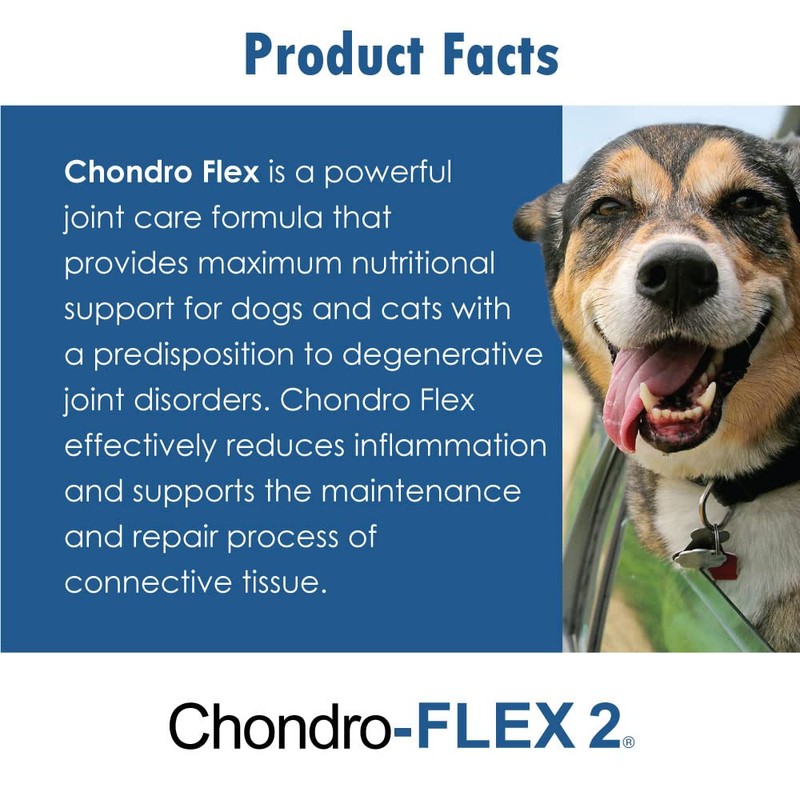 Chondro Flex II (120 Chewable Tablets)
