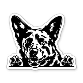 Australian Cattle Dog Blue Heeler ACD Dog Peeking Vinyl Sticker - for Car Wall Large Size - Waterproof - 12"
