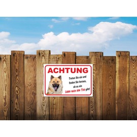 'Life After Death Sign – Caution Eurasier "
