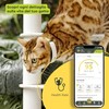 KIPPY - Cat GPS Tracker Kippy CAT COLOR - Locator