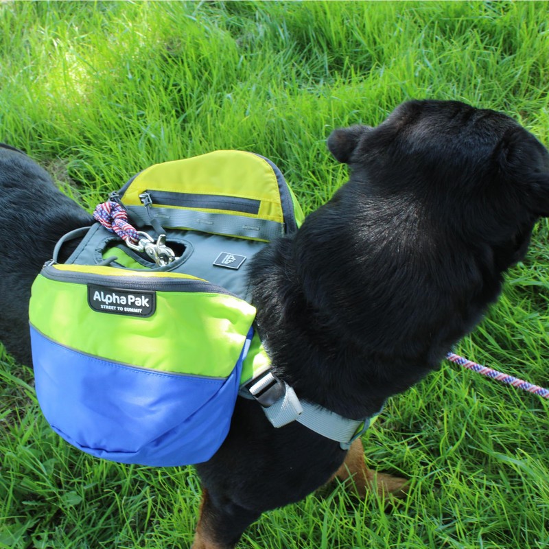Alpha Pak | Adventurer Dog Pack with EZ Fit™ Harness