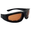 Birdz Eyewear Oriole Padded Motorcycle Riding Sunglasses Black Frame with