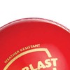 SG Everlast Leather Cricket Ball , Red , Standard Size