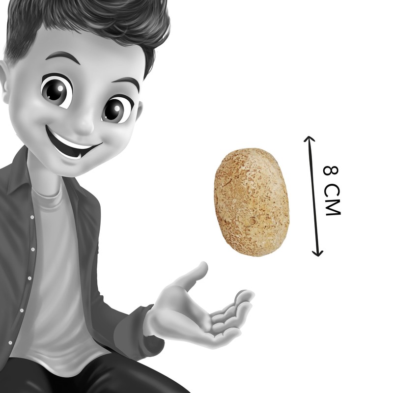 BUKI France BUKI D6O-Dino-Ei, bunt