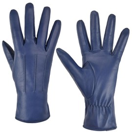 Harssidanzar Womens Leather Gloves Winter Warm Cashmere Lining Touchscreen Texting Warm Driving Lambskin Leather Gloves GL017,Blue, Size M