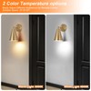 MWZ Gold Battery Operated Wall Sconces Set of Two,Wireless Indoor