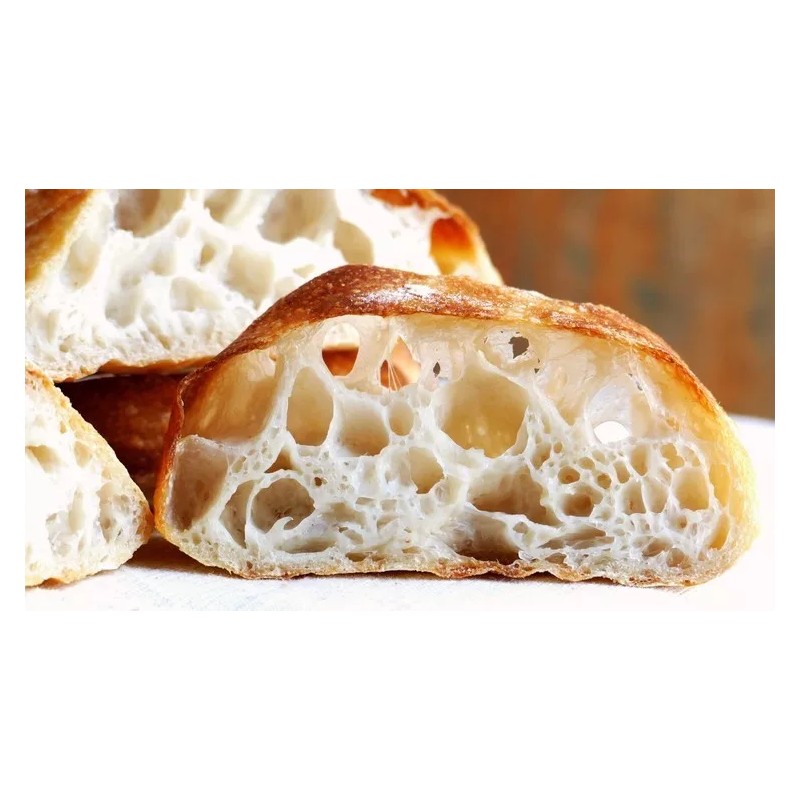 Unbranded THE ORIGINAL SAN FRANCISCO SOURDOUGH STARTER "sally" + many