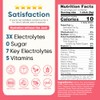 Venture Pal Sugar Free Electrolyte Powder Packets - Liquid Daily