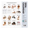 THE DOG 2026 Wall Calendar Large Size (Cavalier King Charles