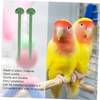 Pack of 20 Bird Standing Perches Trespol Plastic Bird Perch