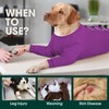Kuoser Dog Surgery Suit Female Spay, Dog Recovery Sleeves for