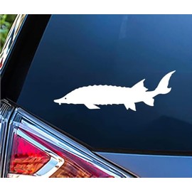 Sticky Bomb Sturgeon Fish Fishing Vinyl Decal Vinyl Decal Sticker Premium Quality Vinyl White for Car Bumper Truck Van SUV Window Wall Boat Cup Tumblers Laptop or Any Smooth Surface Size 7x3 Inches