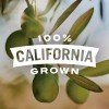 Early California Extra Large Pitted Black Ripe Olives 8 Cans