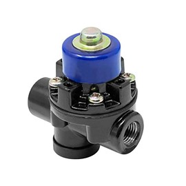 Pro Trucking Products Pressure Protection Valve 90554107PTP Replaces Neway 90554107 Chelsea 378414