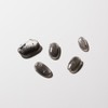 [Design Nail Tips] Gray Kitten - Almond / [디자인 네일팁]