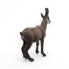 Papo WILD ANIMAL KINGDOM Figurine, Print, 53017 Chamois, Multicolour