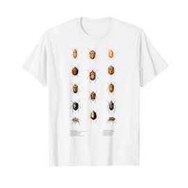 Insects Species Vintage Entomology Entomologist stink Bugs T-Shirt