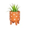 Sass & Belle Polka Dot Leggy Planter
