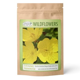 Evening Primrose Wildflower Seeds – 44,000 Non-GMO Seeds | Yellow Blooms, Sweet Fragrance | Attracts Pollinators - Created By Nature