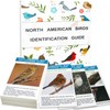 North American Bird Identification Cards, 30 Backyard Birds for Bird