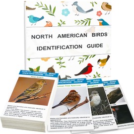 North American Bird Identification Cards, 30 Backyard Birds for Bird Lovers