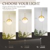 Mccokaige 6 Inch Gold Mid Century Modern Pendant Light Pendants