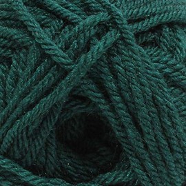 Dy Choice 100g Aran with Wool 616 Forest
