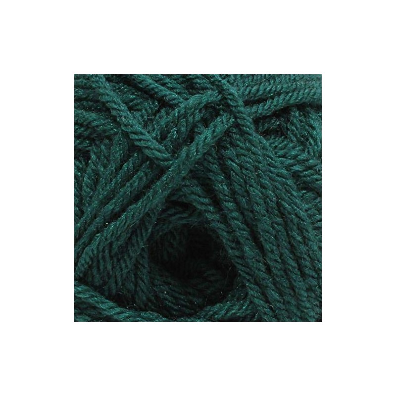 Dy Choice 100g Aran with Wool 616 Forest