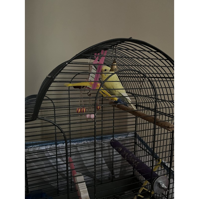 2 Bird Cage Hanging Mirrored Small Swing Perch Toys Parakeet
