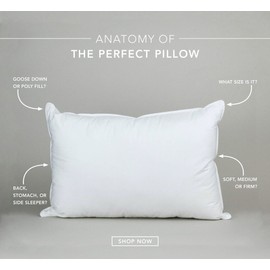 Down Etc Hypoallergenic 25/75 White Goose Feather Pillow, King