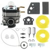 Carbhub Carburetor Kit wih 753-08159 Pawl Fit for TB146EC TB525EC