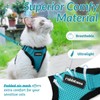 rabbitgoo Cat Harness and Leash for Walking, Escape Proof Soft