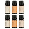 WUSEONY Essential Oil Set 14