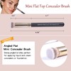 ENERGY Concealer Brush Set Professional Angle Under Eye Concealer Brushes