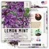 Seed Needs, Lemon Mint Seeds - 500 Heirloom Seeds for