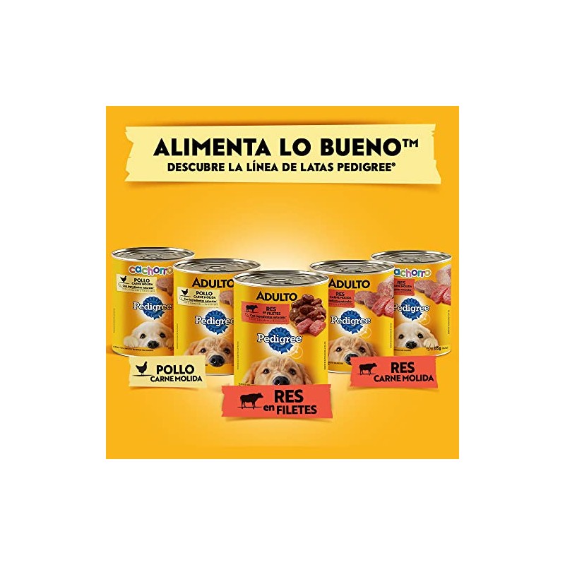 PEDIGREE Alimento para Perros Cachorros, Sabor Pollo Carne Molida 375