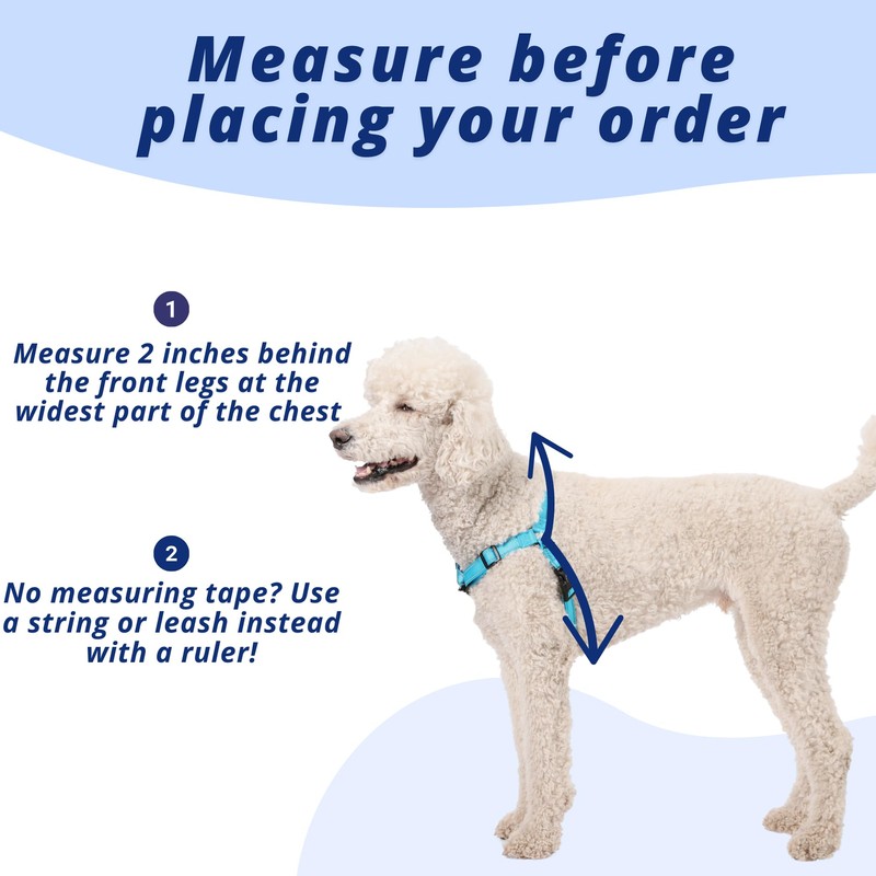 ShawnCo Dream Walk Pro Dog Harness- No-Pull, Comfortable, Adjustable, Easy