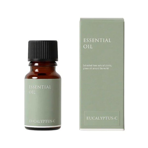 Life Tree Eucalyptus Citriodora Eucalyptus Eucalyptus Eucalyptus Citriodora Lemon Eucalyptus