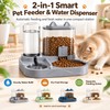 2-in-1 Gravity Pet Feeder and Water Dispenser Bowl for Cats