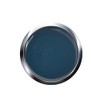 UV/LED Gel Flux Colour High Definition Colour Gel – Petrol