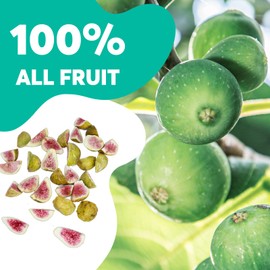 ONETANG Freeze-Dried Fruit Fig Chips, 12 Pack Single-Serve Pack, Non GMO, Kosher, No Add Sugar, Gluten free, Vegan, Holiday Gifts, Healthy Snack 0.35 Ounce