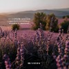 Castile Body Lotion - Lavender by Dr. Natural for Unisex
