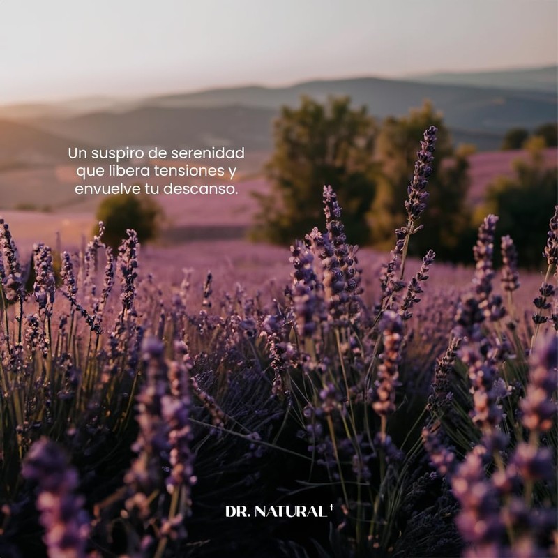 Castile Body Lotion - Lavender by Dr. Natural for Unisex