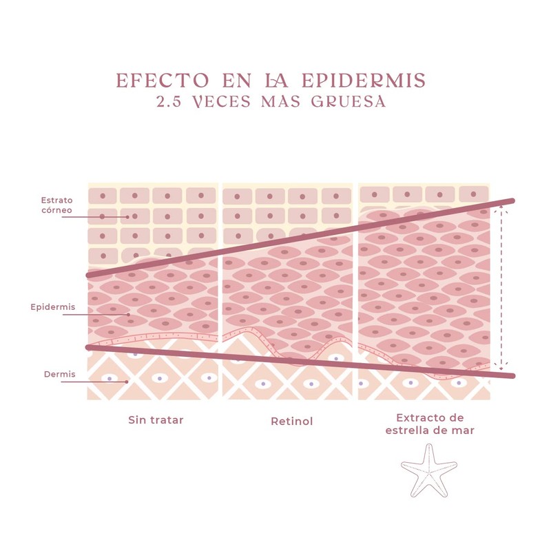 NUNUN Skin. Serum Facial Anti Arrugas, Vitamina C, Extracto Estrella